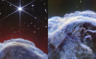 ¡Impresionantes! Telescopio Webb de la NASA capta imágenes de la nebulosa "Cabeza de caballo"
