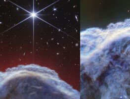 ¡Impresionantes! Telescopio Webb de la NASA capta imágenes de la nebulosa "Cabeza de caballo"