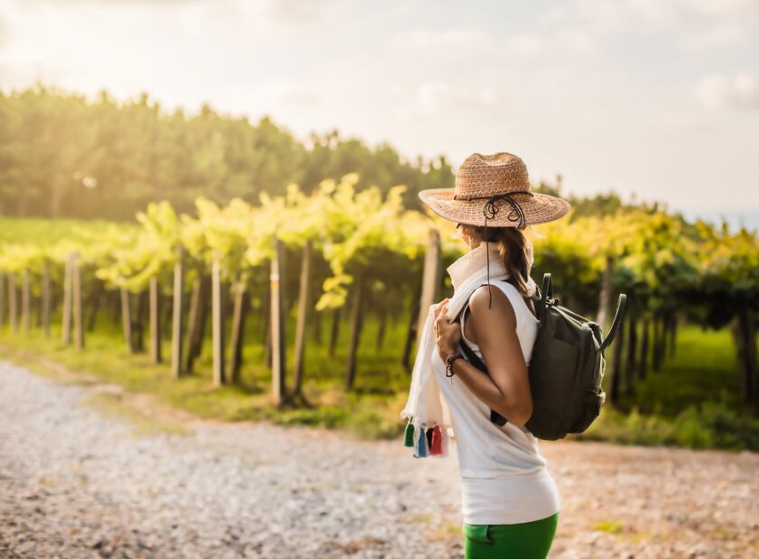 Viñedo/iStock/Karlos Garciapons