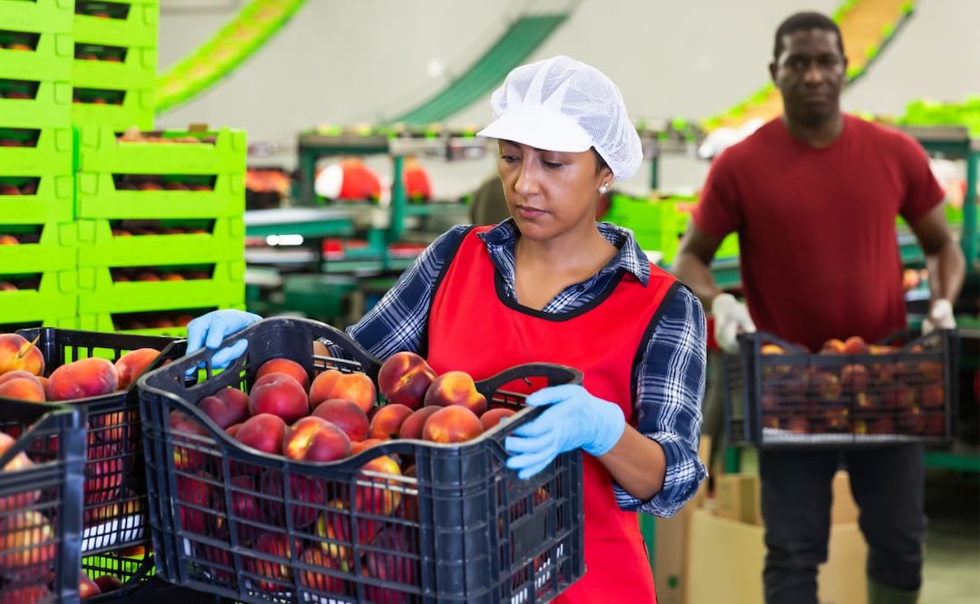 Del Monte ofrece trabajo en Estados Unidos para mexicanos. Foto: iStock / JackF