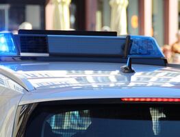 Arrestan a pareja por estafar a anciana con $240 mil dólares