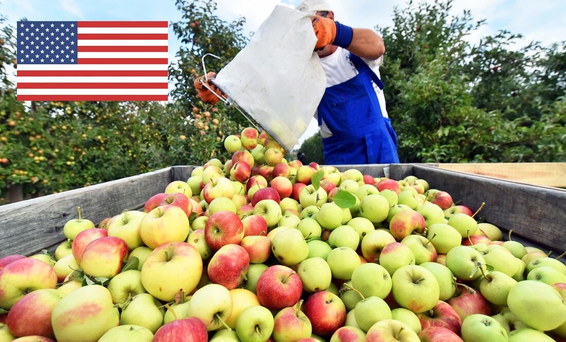 iStock/ Industryview