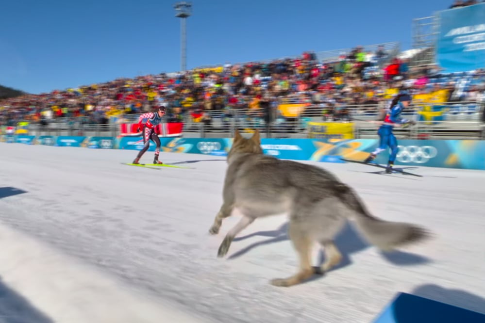 En esta imagen, tomada de un video VIDEO viral: perro se mete a competencia olímpica y corre con esquiadoras. Foto: Olympic Broadcasting Services vía AP