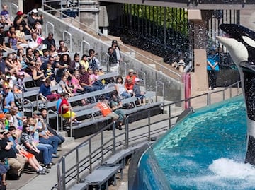 ¿Cuánto cuesta visitar SeaWorld en San Diego?