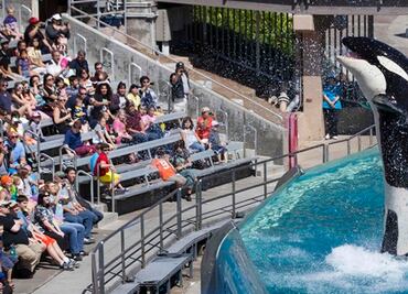 ¿Cuánto cuesta visitar SeaWorld en San Diego?