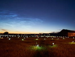 Queman 2 iglesias en Canadá donde hallaron 182 tumbas de niños