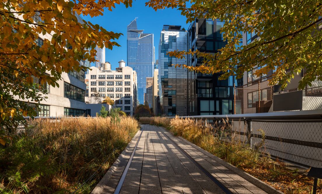 High Line/francois-roux
