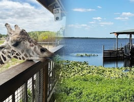 Wild Florida: Así es el parque safari donde también te adentras a los pasajes de Florida