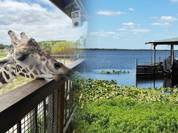 Wild Florida: Así es el parque safari donde también te adentras a los pasajes de Florida