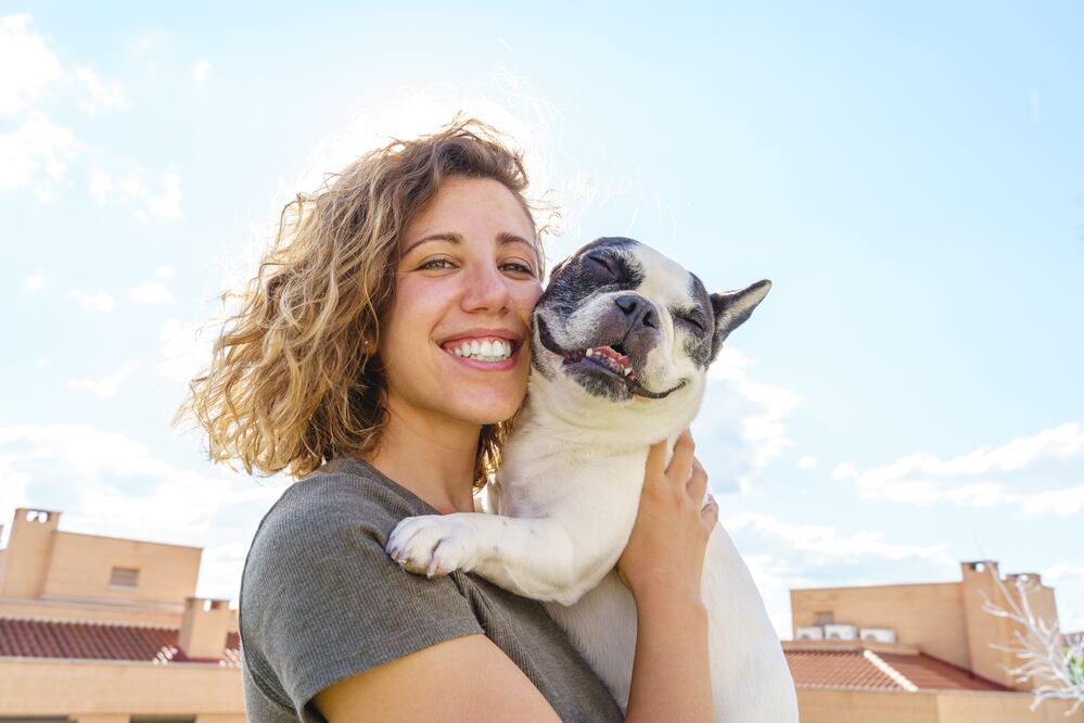 Día Mundial de la Alegría. ¿Por qué los perros te hacen más feliz y alegre, según la ciencia? Foto: iSTOCK-beavera