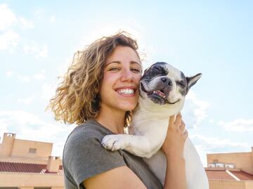 Día Mundial de la Alegría. ¿Por qué los perros te hacen más feliz y alegre, según la ciencia?