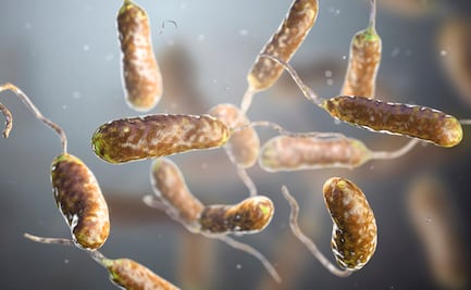 Alertan por 'bacteria que come carne' en playas de Florida; van cinco muertes