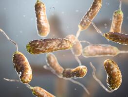 Alertan por 'bacteria que come carne' en playas de Florida; van cinco muertes