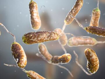 Alertan por 'bacteria que come carne' en playas de Florida; van cinco muertes