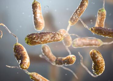 Alertan por 'bacteria que come carne' en playas de Florida; van cinco muertes