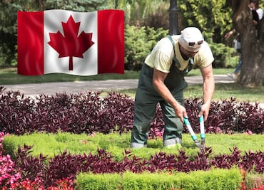 Compañía solicita jardineros mexicanos para trabajo en Canadá; paga $46,000