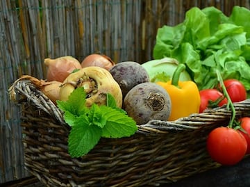 Frutas y verduras pueden ayudar contra la pérdida de memoria