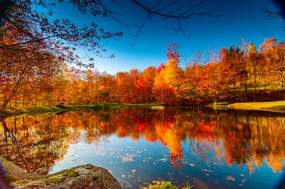 Explora los destinos imperdibles para disfrutar del Otoño en Estados Unidos