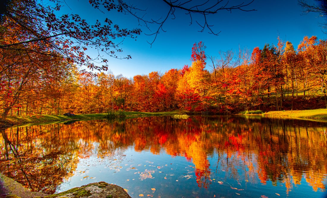 Explora los Destinos Imperdibles para Disfrutar del Otoño en Estados Unidos. iStock / Zane Chambers