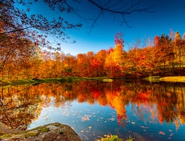 Explora los destinos imperdibles para disfrutar del Otoño en Estados Unidos
