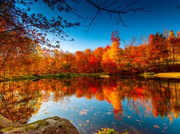 Explora los destinos imperdibles para disfrutar del Otoño en Estados Unidos