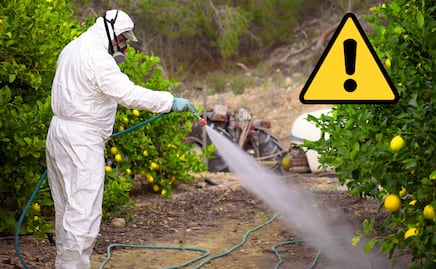 35 plaguicidas prohibidos en México por provocar cáncer y ser altamente peligrosos. ¿Cuáles son? Aquí la LISTA