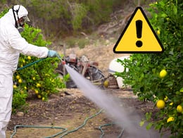 35 plaguicidas prohibidos en México por provocar cáncer y ser altamente peligrosos. ¿Cuáles son? Aquí la LISTA