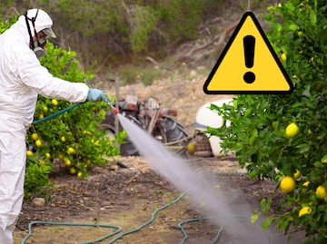 35 plaguicidas prohibidos en México por provocar cáncer y ser altamente peligrosos. ¿Cuáles son? Aquí la LISTA