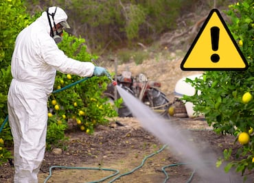 35 plaguicidas prohibidos en México por provocar cáncer y ser altamente peligrosos. ¿Cuáles son? Aquí la LISTA