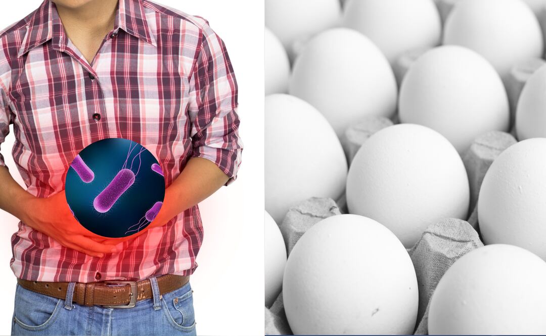 ¿Comiste huevos? Brote de salmonela deja decenas de enfermos en 7 estados FOTO: CANVA