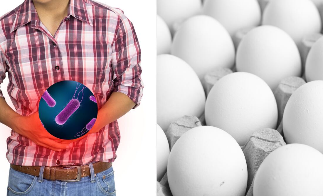 ¿Comiste huevos? Brote de salmonela deja decenas de enfermos en 7 estados FOTO: CANVA