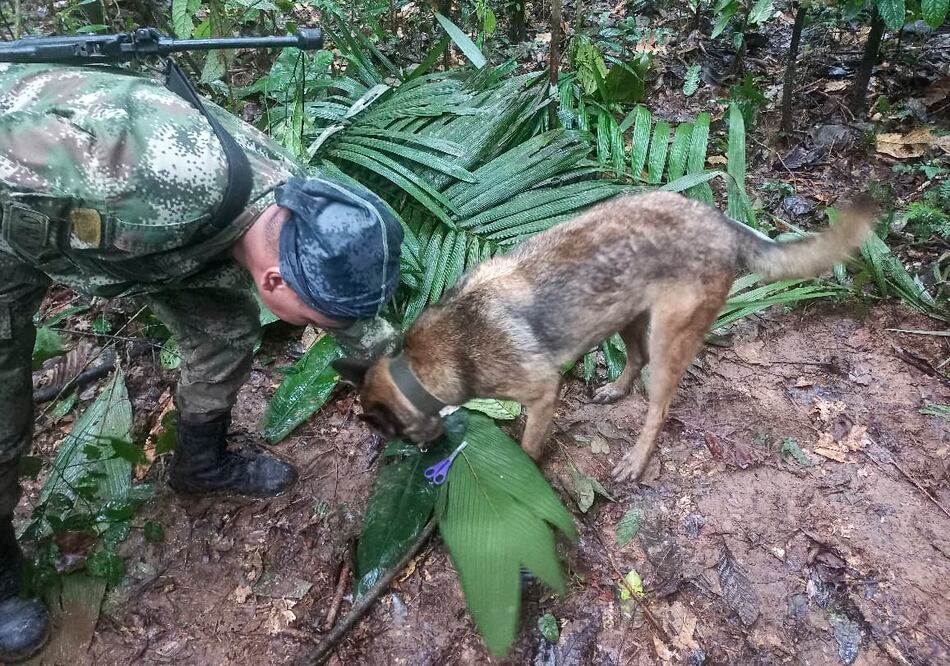 Presidente Petro se retracta sobre rescate de 4 niños en selva colombiana.
"AFP PHOTO / COLOMBIAN ARMY "