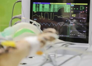 Fallece el primer perro diagnosticado con Covid-19 en EU