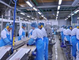 Trabajo en el extranjero: solicitan mexicanos para supervisar procesamiento de alimentos