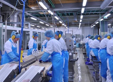 Trabajo en el extranjero: solicitan mexicanos para supervisar procesamiento de alimentos