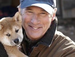 Los perros más famosos que conquistaron la pantalla grande