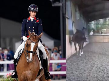 Jinete queda fuera de Juegos Olímpicos tras video donde golpea a su caballo. ¿Quién es?