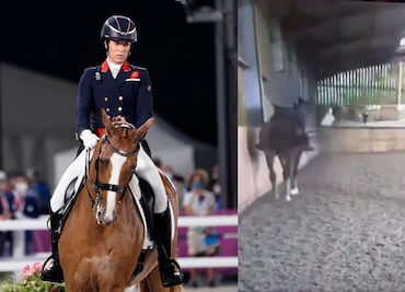 Jinete queda fuera de Juegos Olímpicos tras video donde golpea a su caballo. ¿Quién es?