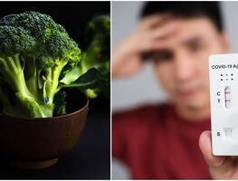 Encuentran que vegetales y frutas, como el brócoli o las frambuesas, ‘contagian’ covid