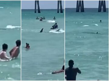 Terror en playa de Florida. Tiburón acecha a bañistas mientras nadaban