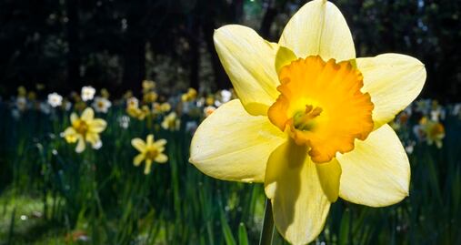 Una 'joya' natural de California cierra por exceso de turistas 