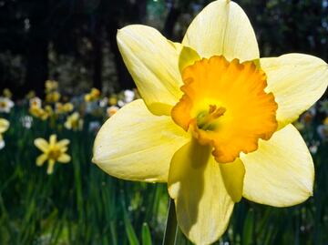 Una 'joya' natural de California cierra por exceso de turistas
