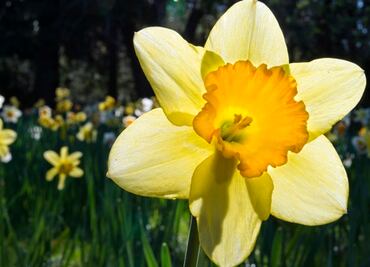 Una 'joya' natural de California cierra por exceso de turistas