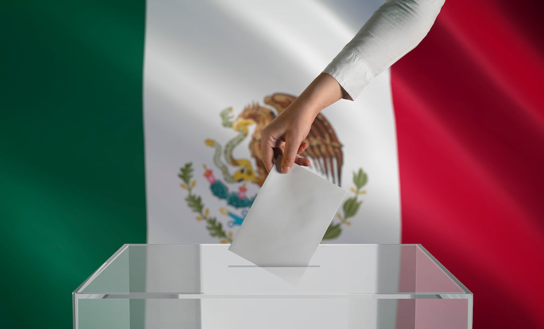 Elecciones 2024/ iStock/ sefa ozel