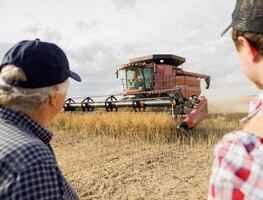 Canadá facilitará el camino a la residencia permanente a estos trabajadores agroalimentarios