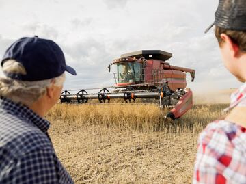 Canadá facilitará el camino a la residencia permanente a estos trabajadores agroalimentarios