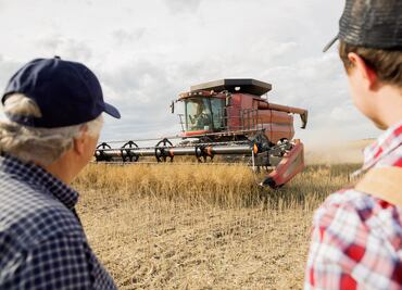 Canadá facilitará el camino a la residencia permanente a estos trabajadores agroalimentarios