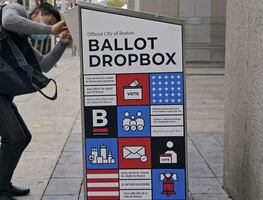 Elecciones 2020. Las propuestas más curiosas que EU votará a nivel estatal