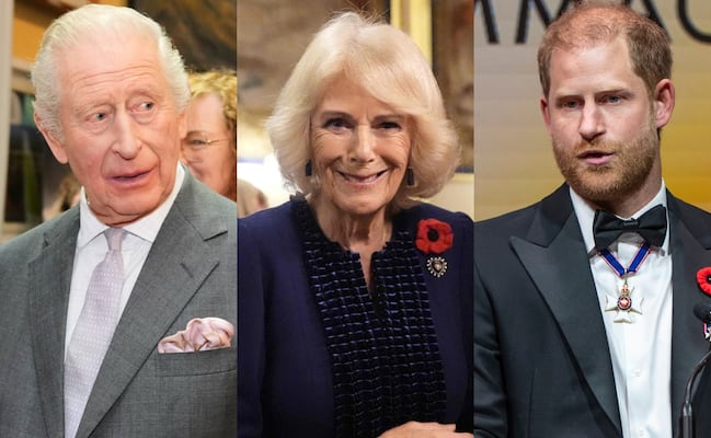 Rey Carlos corre a su hijo Harry tras escuchar decirle “madrastra malvada” a Camila Parker