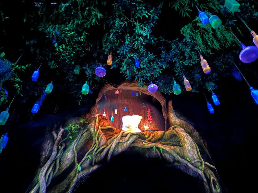 Tiana's Bayou Adventure/ Magic Kingdom